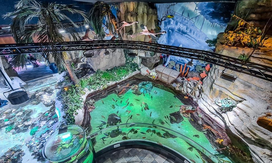 Dubai Aquarium & Underwater Zoo